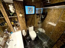 Blk 528 Jelapang Road (Bukit Panjang), HDB Executive #637811891